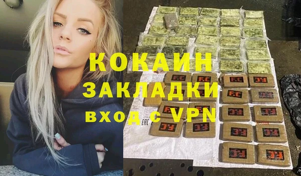 шишки Армянск