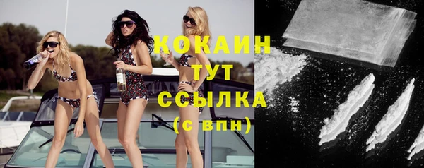 шишки Армянск