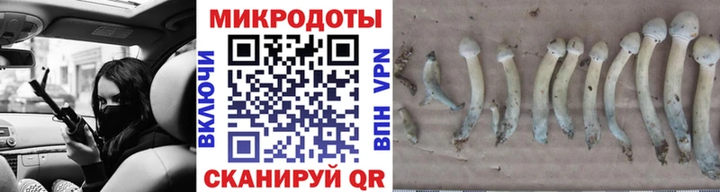 Галлюциногенные грибы мицелий  Радужный 